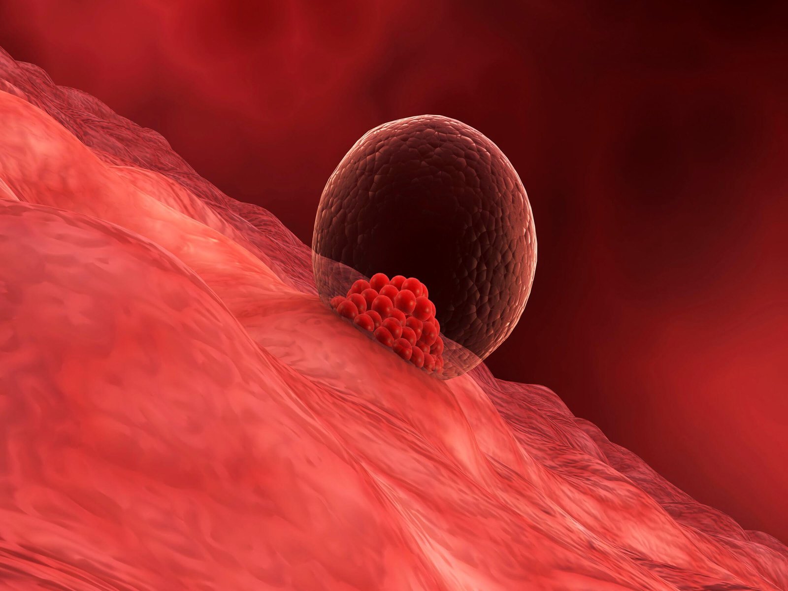 Endometrial Receptivity Array (ERA)