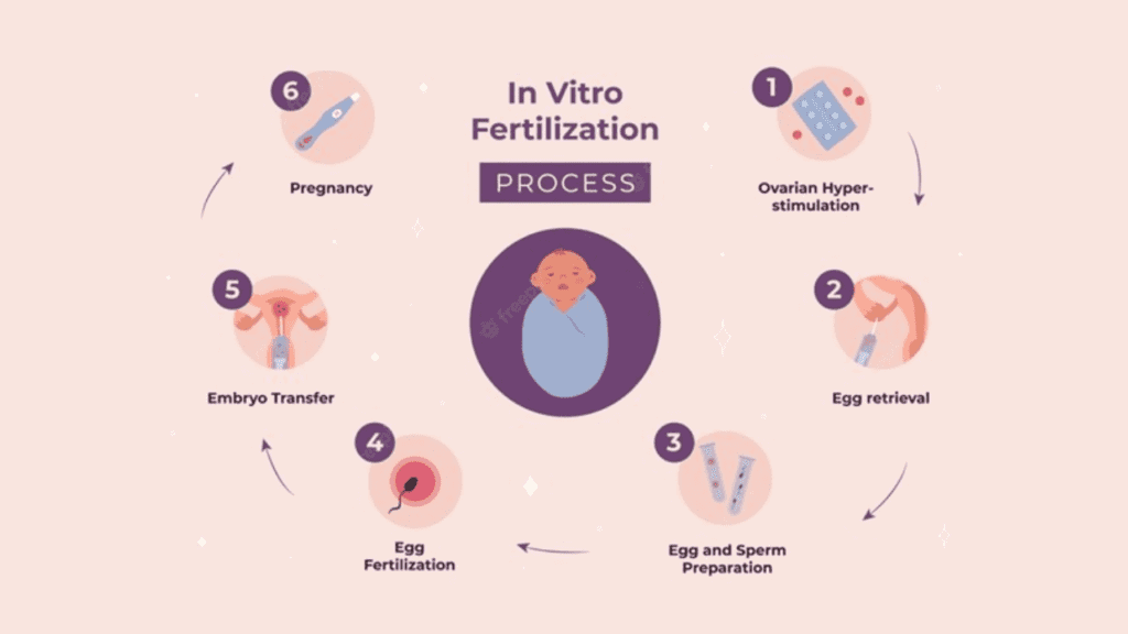 ivf_cycle